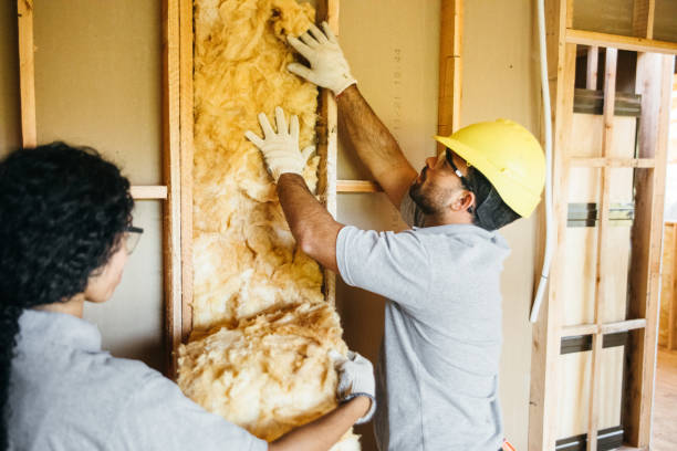 Best Local Insulation Services  in Martha Lake, WA